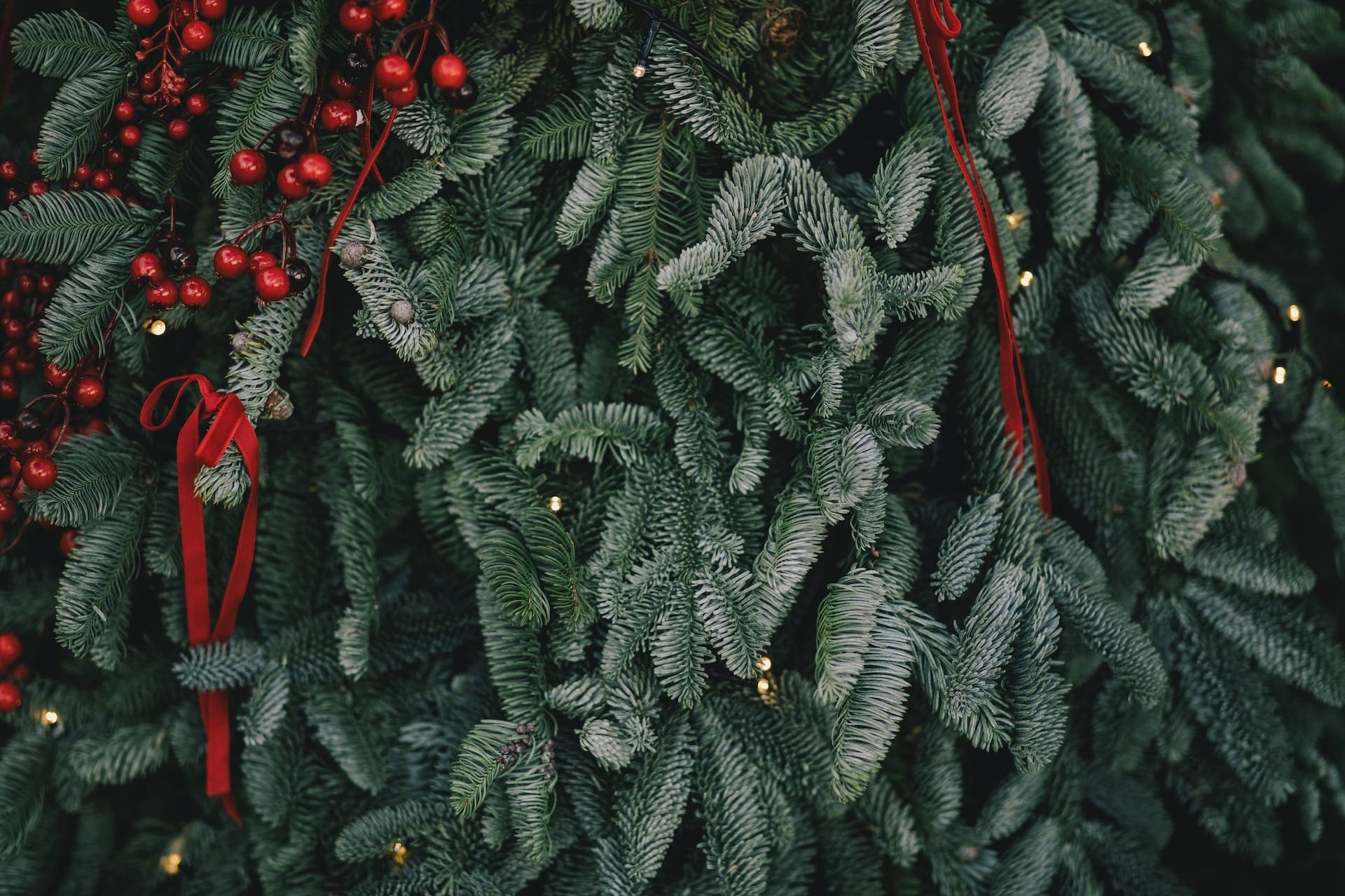 Weihnacht-Zauber im Binzer Hof